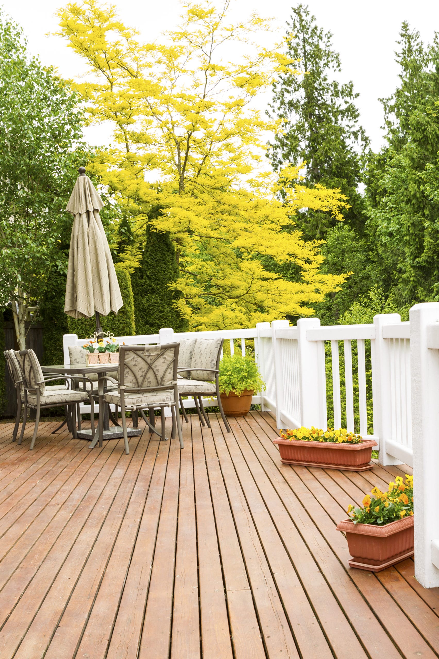 Painting vs. Staining Your Wood Deck